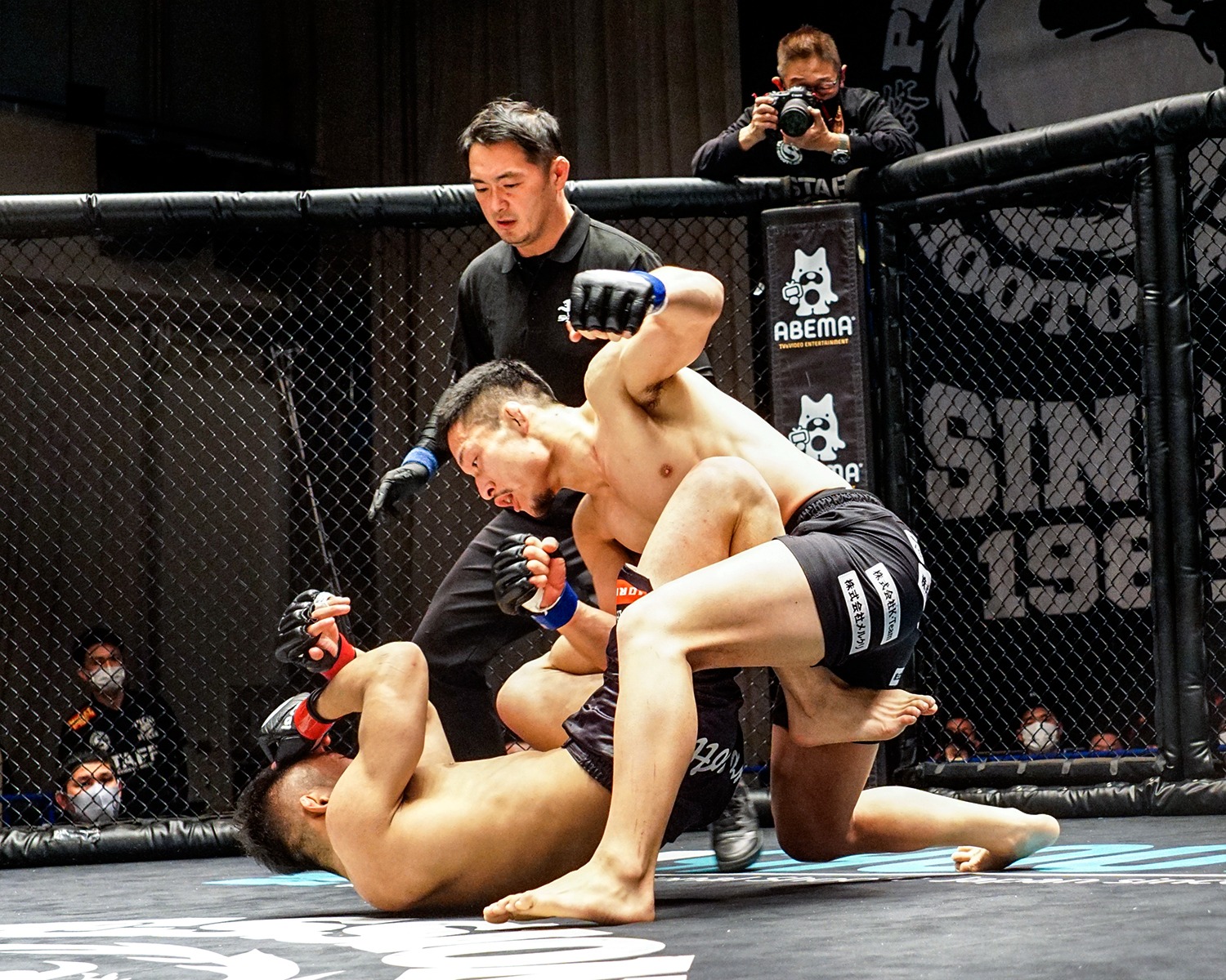 Combat de MMA au sol dans une cage